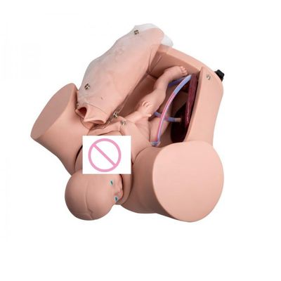 Muñeca de tamaño realista de la vida humana Mujer embarazada modelo y gemelos Bebé muñeca para la formación del parto