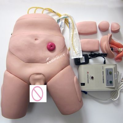 Simulador de entrenamiento de cateterismo uretral para habilidades de enfermería
