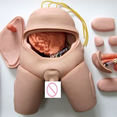 Simulador de entrenamiento de cateterismo uretral para habilidades de enfermería