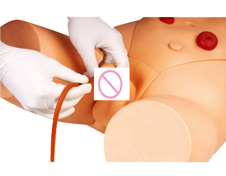 Simulador de entrenamiento de cateterismo uretral para habilidades de enfermería