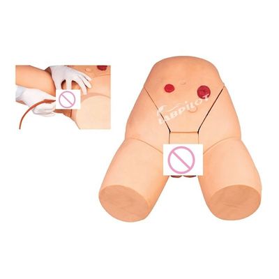 Modelo de entrenamiento de inyección intramuscular para el desarrollo de habilidades de cateterismo femenino