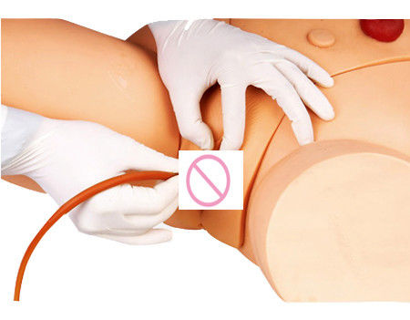 Modelo de entrenamiento de inyección intramuscular para el desarrollo de habilidades de cateterismo femenino