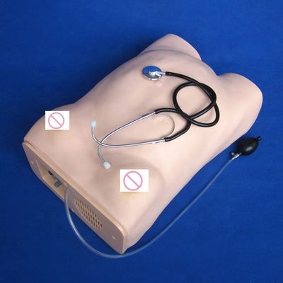 Examen obstétrico Maternidad Palpación abdominal Mujeres embarazadas Cuidado maniquí