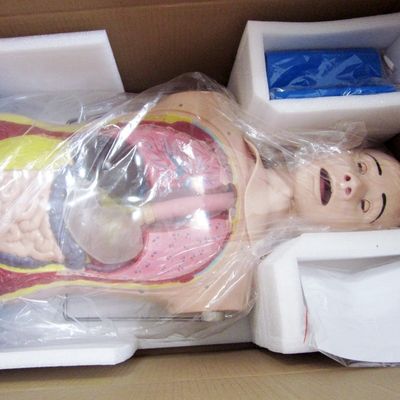 Innovador tubo nasal gástrico y traquea habilidades maniquí de enfermería con características realistas