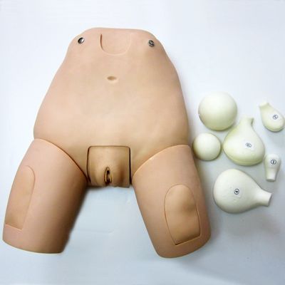 Simulador de fondo avanzado para el examen del útero modelo maniquí femenino postparto