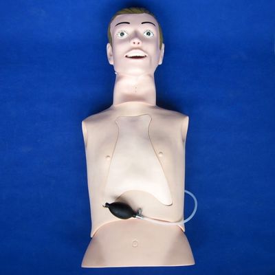 Maniquí profesional de incubación y succión de tamaño humano con función de enfermería