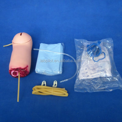 Modelo de entrenamiento de amputación de brazos y hemostasis Modelo de cuidados de enfermería de heridas con sangrado vivo