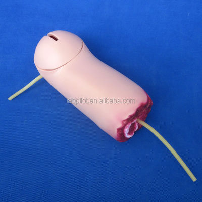 Modelo de entrenamiento de amputación de brazos y hemostasis Modelo de cuidados de enfermería de heridas con sangrado vivo