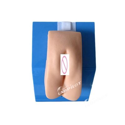 Simulador de cateterismo simple maniquí de cateterismo uretral femenino