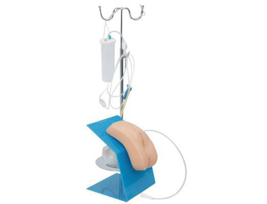 Simulador de cateterismo simple maniquí de cateterismo uretral femenino