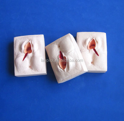 Simulador de entrenamiento avanzado de episiorrafía de PVC para técnicas realistas de corte de vulva
