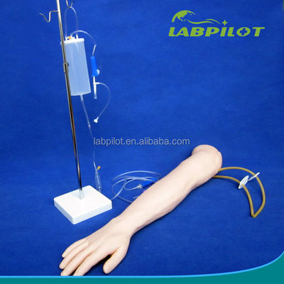 Modelo de brazo de enseñanza de perfusión e inyección intravenosa para la práctica de simulación médica