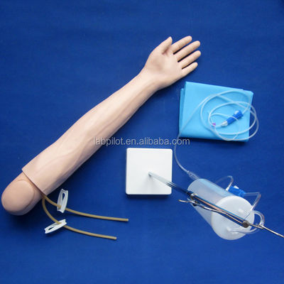 Modelo de brazo de enseñanza de perfusión e inyección intravenosa para la práctica de simulación médica