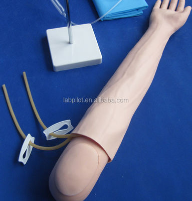 Modelo de brazo de enseñanza de perfusión e inyección intravenosa para la práctica de simulación médica
