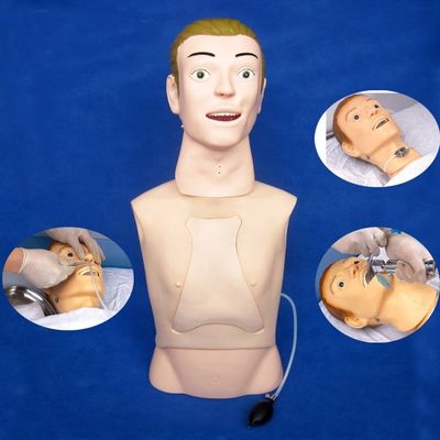 Maniquí de medio cuerpo El modelo de enseñanza definitivo para la atención de la alimentación nasogástrica en los hospitales