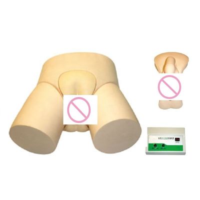 Modelo avanzado de cateterismo uretral electrónico de PVC y entrenamiento de enema para profesionales