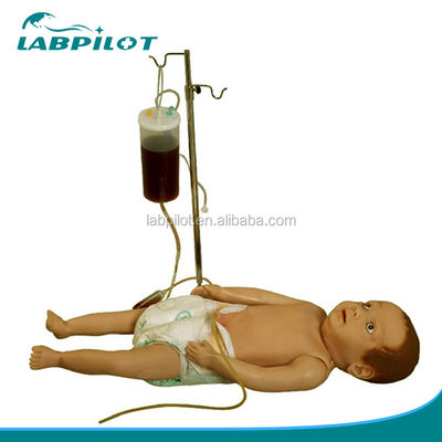 Modelo realista de simulación de la piel infantil de venenictura de cuerpo completo para mujeres y niños