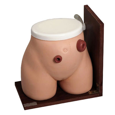 Habilidades de Enema Enseñando el maniquí La herramienta de entrenamiento perfecta para el cuidado médico de la fístula estoma