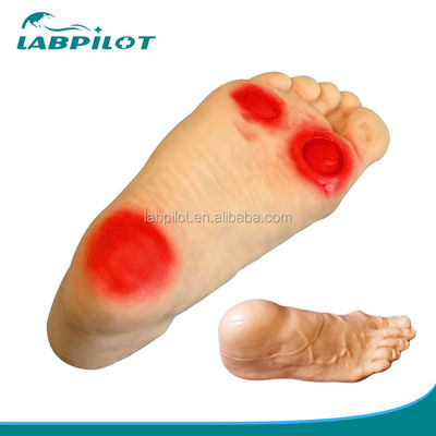 Modelo de simulador de enfermería de pies diabéticos con habilidades de enema enseñando maniquí