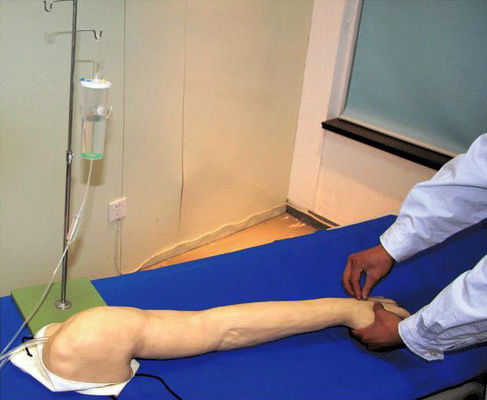 Modelo de entrenamiento para la transfusión venosa y la inyección del brazo IV de PVC avanzado totalmente funcional
