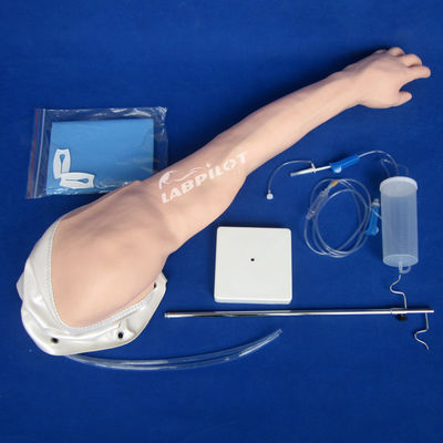 Modelo de entrenamiento para la transfusión venosa y la inyección del brazo IV de PVC avanzado totalmente funcional