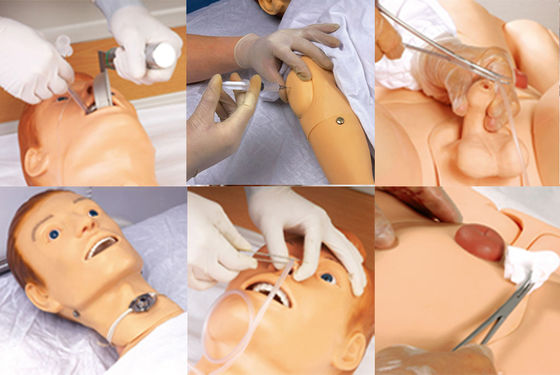 Maniquí de enfermería multipropósito con características de entrenamiento en venenctura y medición de presión arterial