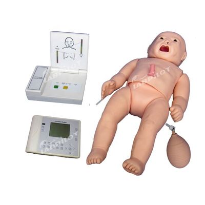 Maniquí de la función de auscultación de la RCP para el cuidado de la maternidad y la pediatría multifuncional