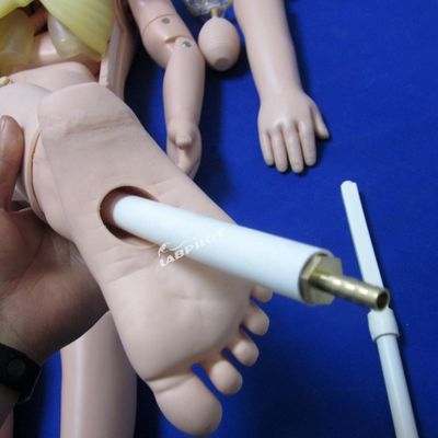 Pediatría Modelo anatómico para la formación en maternidad y cuidado pediátrico de niños de 3 años