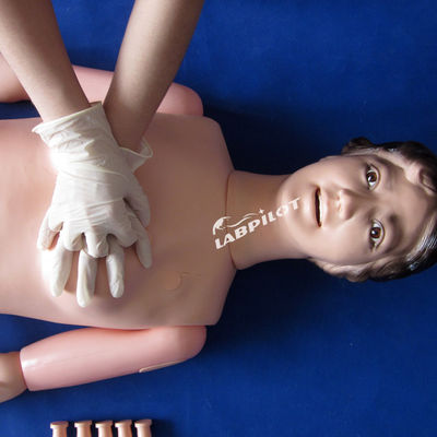 Reanimación básica y capacitación en enfermería maniquí para cuidadores de tamaño humano