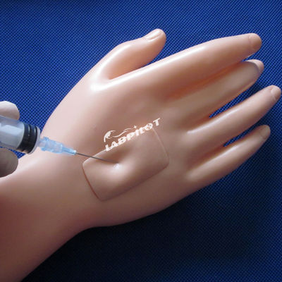 Reanimación básica y capacitación en enfermería maniquí para cuidadores de tamaño humano