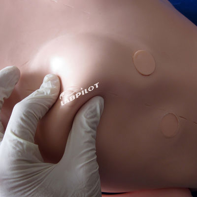 Reanimación básica y capacitación en enfermería maniquí para cuidadores de tamaño humano