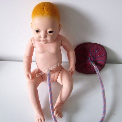 Modelo avanzado de cuidado placentario de PVC maniquí de bebé recién nacido para profesionales de la salud
