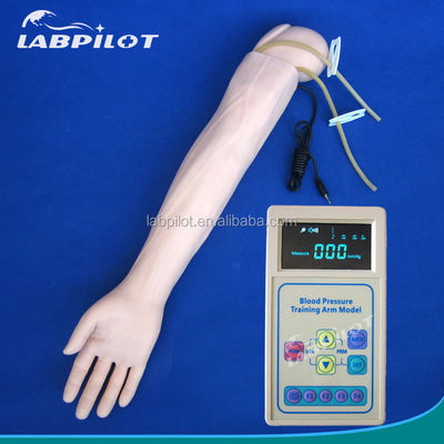 Maniquí de PVC avanzado para la simulación del brazo de la práctica médica y el entrenamiento de medición de la presión arterial
