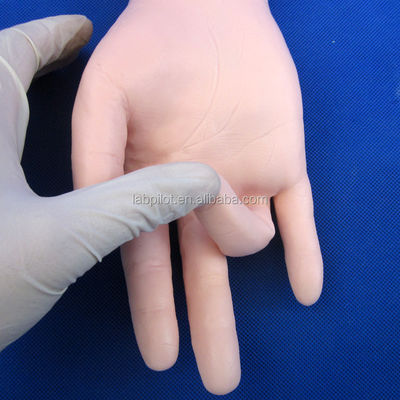 Maniquí de PVC avanzado para la simulación del brazo de la práctica médica y el entrenamiento de medición de la presión arterial