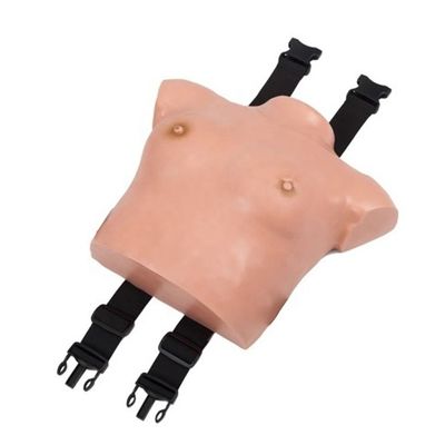 Modelo avanzado de examen de senos de PVC portátil para habilidades ginecológicas enseñando lección de anatomía