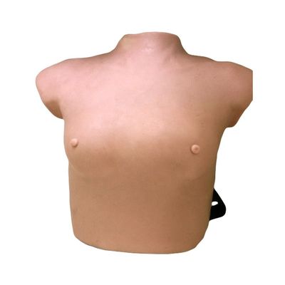 Modelo avanzado de examen de senos de PVC portátil para habilidades ginecológicas enseñando lección de anatomía