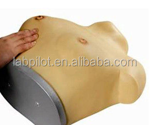 Modelo avanzado de examen de senos de PVC portátil para habilidades ginecológicas enseñando lección de anatomía