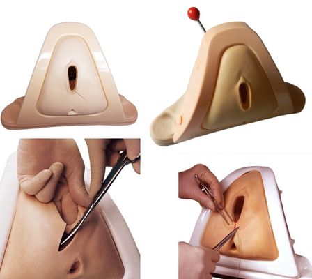 Modelo avanzado de obstetricia y ginecología de PVC para la enseñanza de habilidades económicas