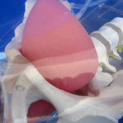 Entrenador de cateterismo uretral femenino de PVC transparente avanzado para entrenamiento de enfermería
