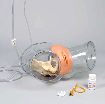 Entrenador de cateterismo uretral femenino de PVC transparente avanzado para entrenamiento de enfermería