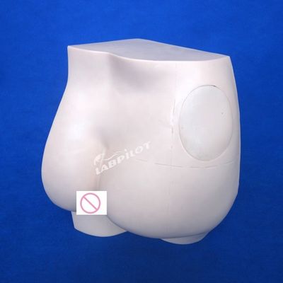 Formación en enfermería clínica Entrenador de inyección de cadera simple IM Modelo de enseñanza de inyección