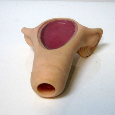 Demonstración del cuidado del paciente Instructor de inserción de DIU portátil compacto para la ciencia médica