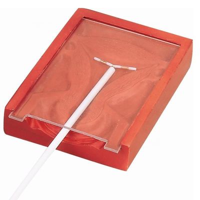 Obstetricia y ginecología Capacitación en la enseñanza de la inserción del DIU Entrenador para el cuidado de pacientes