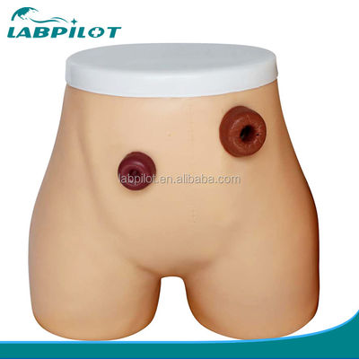 Modelo avanzado de enfermería de ostomía de PVC para la formación en ileostomía y colostomía en hospitales