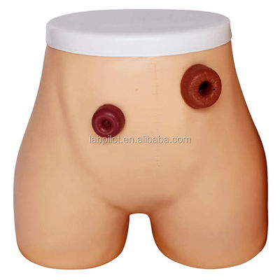Modelo avanzado de enfermería de ostomía de PVC para la formación en ileostomía y colostomía en hospitales