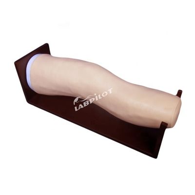 Modelo avanzado de rodilla de PVC para inyecciones intraarticulares y entrenamiento de aspiración articular