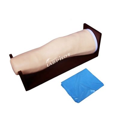 Modelo avanzado de rodilla de PVC para inyecciones intraarticulares y entrenamiento de aspiración articular