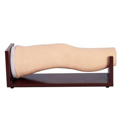 Modelo avanzado de rodilla de PVC para inyecciones intraarticulares y entrenamiento de aspiración articular