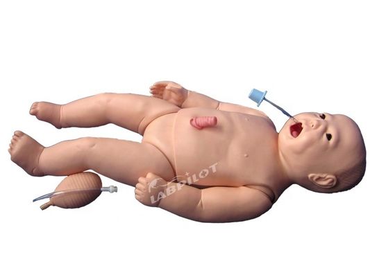 ACLS Enfermería neonatal maniquí tamaño de vida humana Asunto para la enseñanza de ciencias médicas
