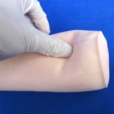 Ciencias Médicas Economía Venipunctura Blanda e Inyección IV Enseñanza Modelo Simulador de Punción del Codo